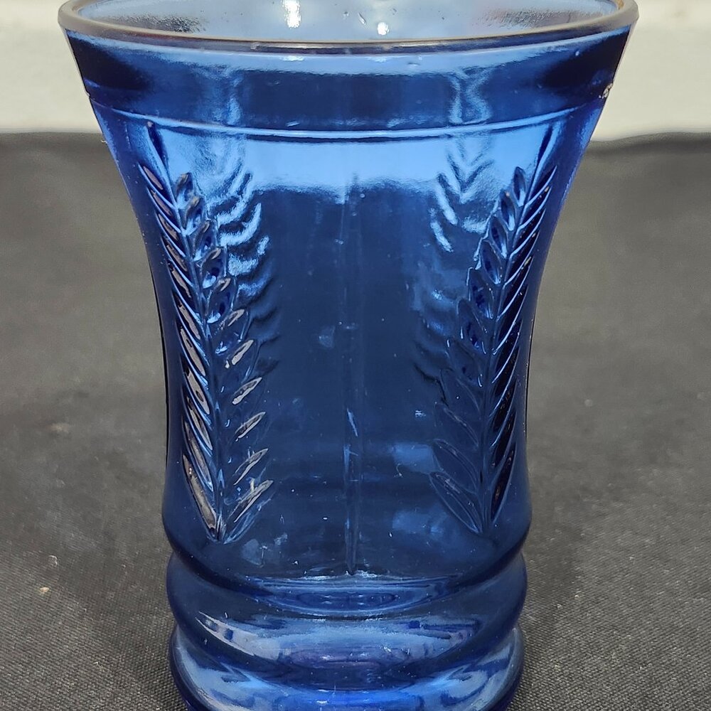 Vintage Maryland Glass Co. Feather Pattern Cobalt Blue Flat Water Tumbler